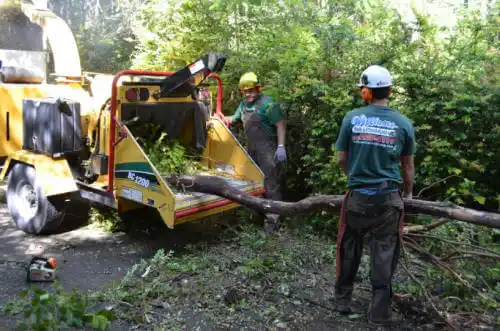 tree services West Menlo Park